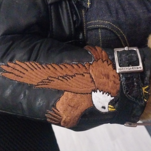 Harley Davidson bear - Picture 7 of 14